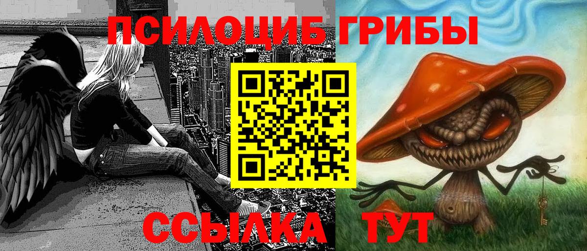 Псилоцибиновые грибы Psilocybe  Вход с VPN  Орехово-Зуево  Псилоцибиновые грибы ЛСД 